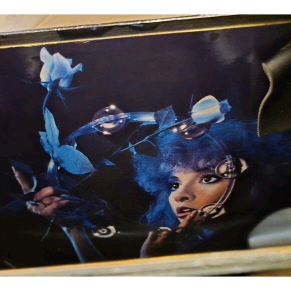 VTG Vinyl Record Purse Bella Donna Stevie Nicks Handbag Purse Parrot - Picture 14 of 14